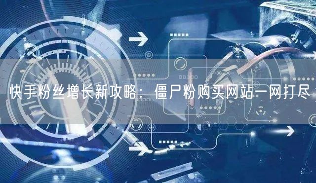 快手粉丝增长新攻略:僵尸粉购买网站一网打尽