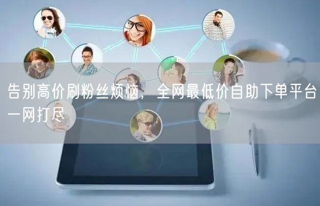 告别高价刷粉丝烦恼,全网最低价自助下单平台一网打尽