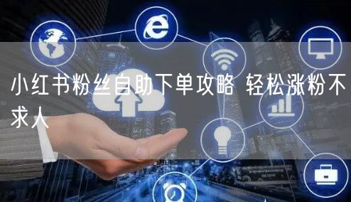 小红书粉丝自助下单攻略 轻松涨粉不求人