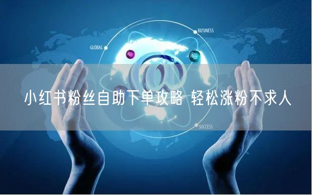 小红书粉丝自助下单攻略 轻松涨粉不求人