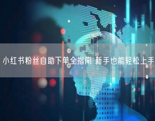 小红书粉丝自助下单全指南 新手也能轻松上手