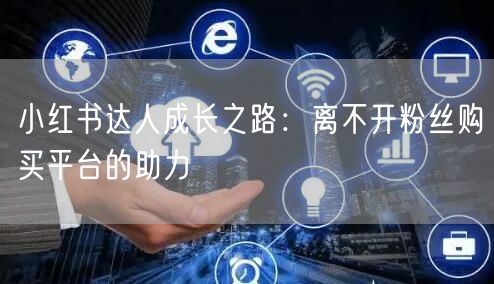 小红书达人成长之路：离不开粉丝购买平台的助力