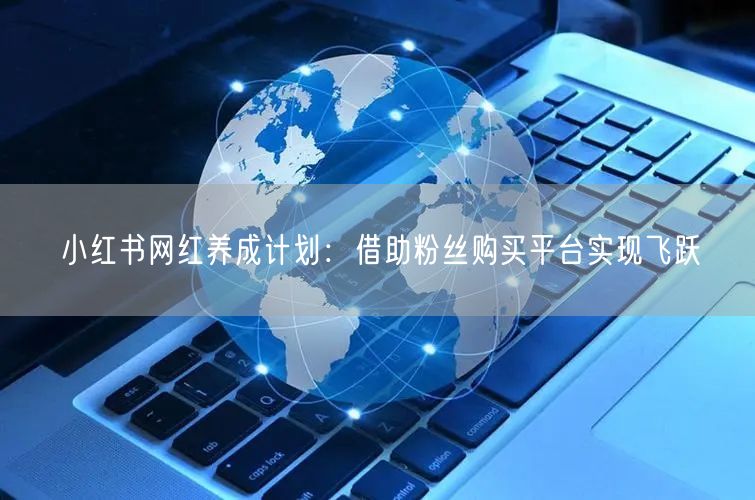 小红书网红养成计划：借助粉丝购买平台实现飞跃