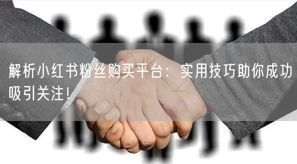 解析小红书粉丝购买平台：实用技巧助你成功吸引关注！
