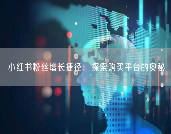 小红书粉丝增长捷径：探索购买平台的奥秘
