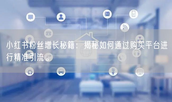 小红书粉丝增长秘籍：揭秘如何通过购买平台进行精准引流。