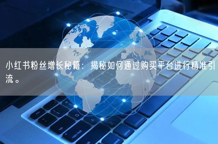 小红书粉丝增长秘籍：揭秘如何通过购买平台进行精准引流。
