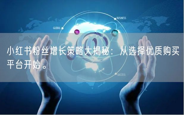 小红书粉丝增长策略大揭秘：从选择优质购买平台开始。