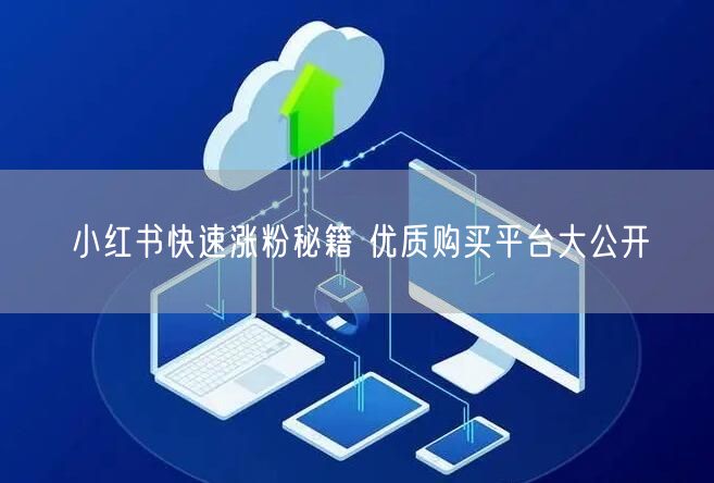 小红书快速涨粉秘籍 优质购买平台大公开