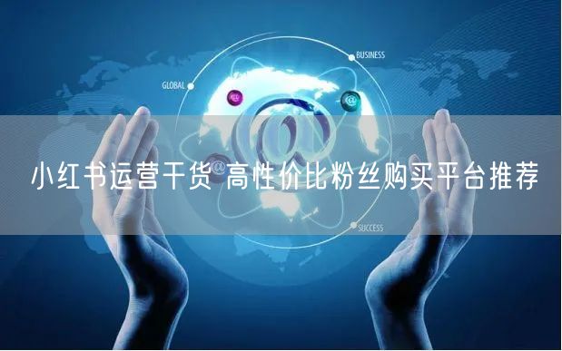 小红书运营干货 高性价比粉丝购买平台推荐
