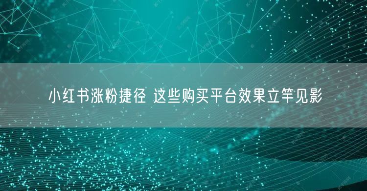 小红书涨粉捷径 这些购买平台效果立竿见影