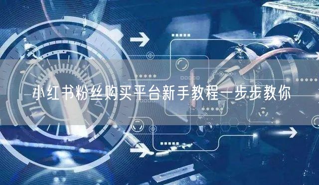 小红书粉丝购买平台新手教程一步步教你